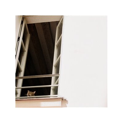 M(H)AOL - SOMETHING SOFT - CD