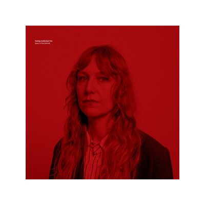 HEDVIG MOLLESTAD TRIO - BEES IN THE BONNET - LP