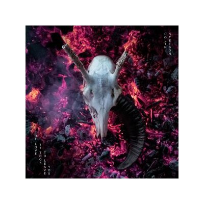 STETSON, COLIN - THE LOVE IT TOOK TO LEAVE YOU - CD