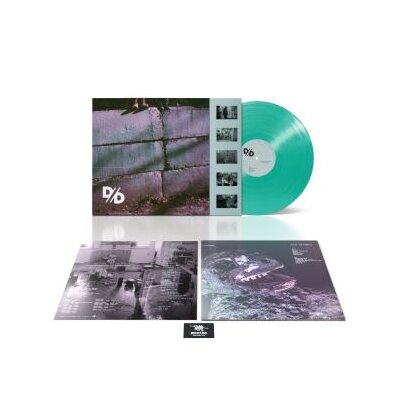 DIVIDE AND DISSOLVE - SYSTEMIC - LP