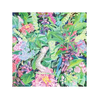 LIGHT-SPACE MODULATOR - THE RISING WAVE - LP