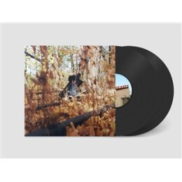 WOODS, BILLY - GOLLIWOG - LP