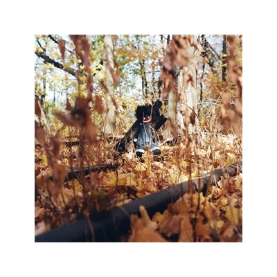 WOODS, BILLY - GOLLIWOG - CD