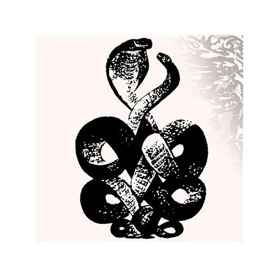 BARDO POND - VOLUME 4 & 5 (BLACK VINYL 2LP) - LP