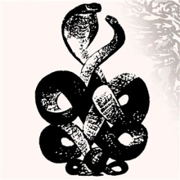 BARDO POND - VOLUME 4 & 5 (BLACK VINYL 2LP) - LP