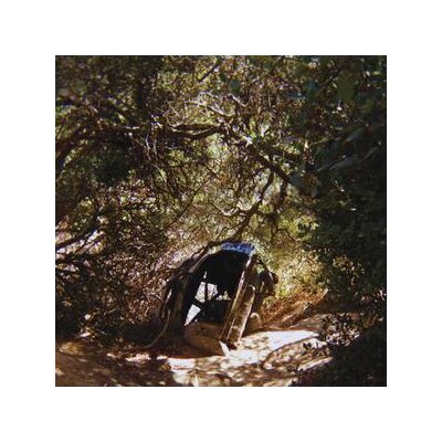 SEGALL, TY - POSSESSION - LP