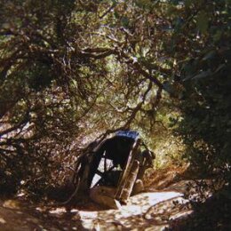 SEGALL, TY - POSSESSION - LP