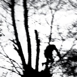 CINDYTALK - CAMOUFLAGE HEART (TRANSPARENT CLEAR VINYL) - LP