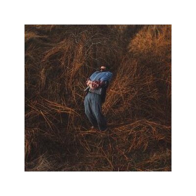 GARRATT, JACK - PILLARS - CD