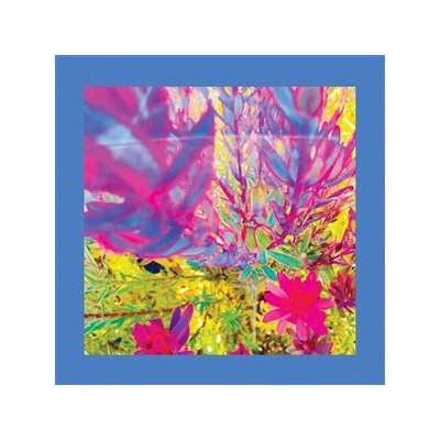 REDS, PINKS AND PURPLES, THE - THE PAST IS A GARDEN I NEVER FED - CD