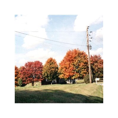 VEGAS WATER TAXI - THINGS ARE GONNA BE ALRIGHT (EXTENDED EDITION) - LP