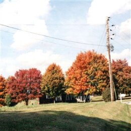 VEGAS WATER TAXI - THINGS ARE GONNA BE ALRIGHT (EXTENDED...