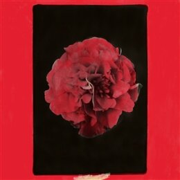 ACTIVITY - A THOUSAND YEARS IN ANOTHER WAY - LP