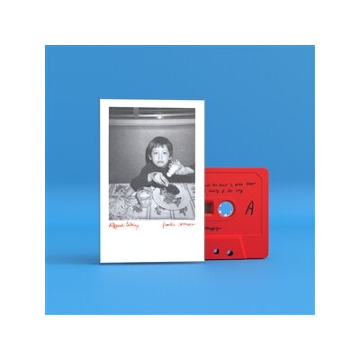 FRANKIE COSMOS - DIFFERENT TALKING - MC