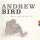 BIRD, ANDREW - THINGS ARE REALLY GREAT HERE, SORT OF - CD