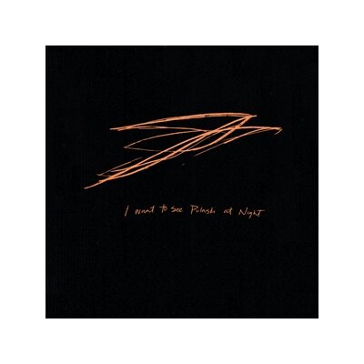 BIRD, ANDREW - I WANT TO SEE PULASKI AT NIGHT - CD