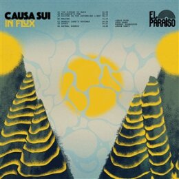CAUSA SUI - IN FLUX (CD) - CD