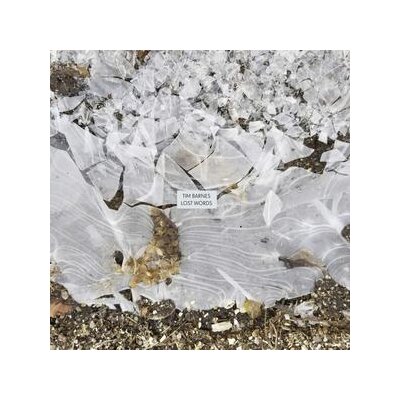 BARNES, TIM - LOST WORDS - LP