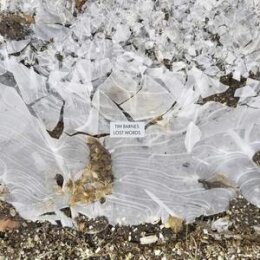 BARNES, TIM - LOST WORDS - LP