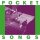 VARIOUS - POCKET SONGS (VINYL & POSTER) - LP