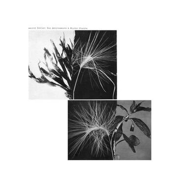PEKLER, ANDREW - NEW ENVIRONMENTS & RHYTHM STUDIES - LP