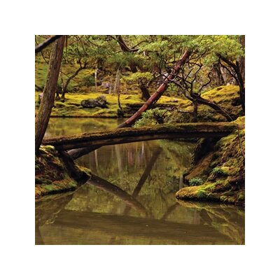 FOON, REBECCA & ALIAYTA FOON-DANCOES - REVERIE - LP