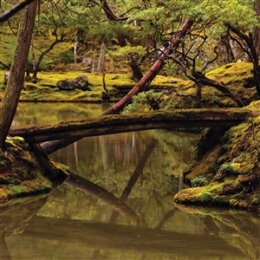 FOON, REBECCA & ALIAYTA FOON-DANCOES - REVERIE - LP