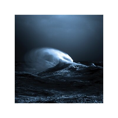 MOLNAR, MARK - EXO - LP