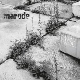 MARODE - RISSE - LP