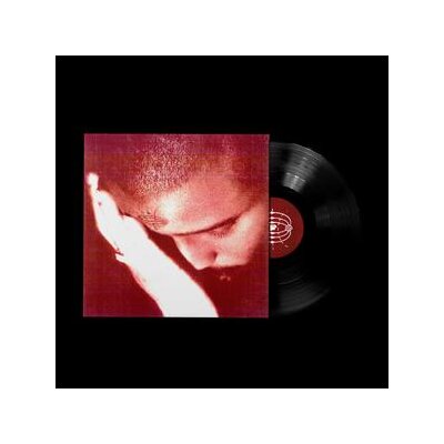 NOURISHED BY TIME - THE PASSIONATE ONES - LP