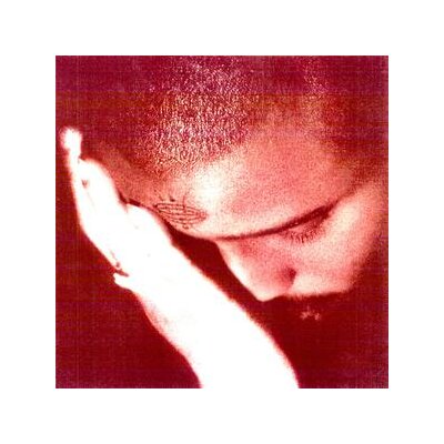 NOURISHED BY TIME - THE PASSIONATE ONES - CD