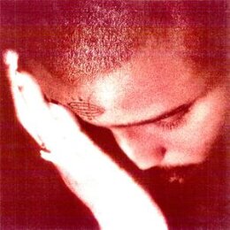 NOURISHED BY TIME - THE PASSIONATE ONES - CD