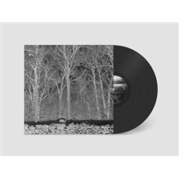 PILE - SUNSHINE AND BALANCE BEAMS - LP