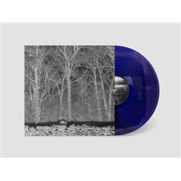 PILE - SUNSHINE AND BALANCE BEAMS (TRANSPARENT COL VINYL)...