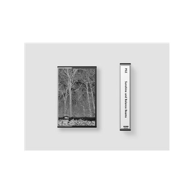 PILE - SUNSHINE AND BALANCE BEAMS (MC) - MC