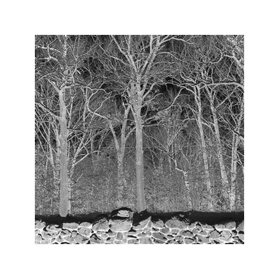 PILE - SUNSHINE AND BALANCE BEAMS - CD