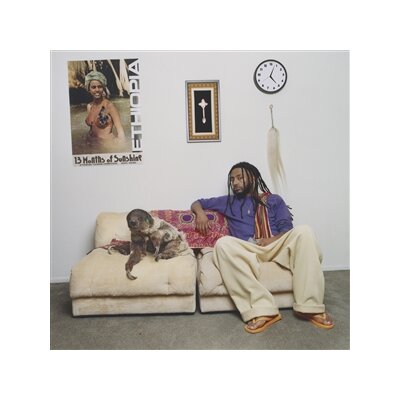 AMINÉ - 13 MONTHS OF SUNSHINE (BLACK VINYL) - LP