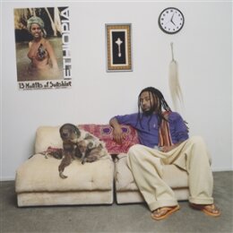 AMINÉ - 13 MONTHS OF SUNSHINE (BLACK VINYL) - LP