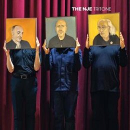 NEAR JAZZ EXPERIENCE, THE - TRITONE - CD