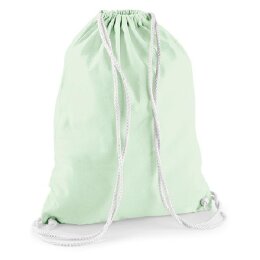 Westford Mill - WM110 - Cotton Gymsac - pastel mint / white