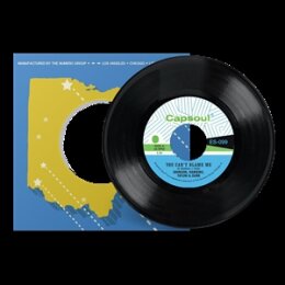 JOHNSON, HAWKINS, TATUM & DURR - YOU CANT BLAME ME -...