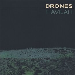 DRONES, THE - HAVILAH - LP