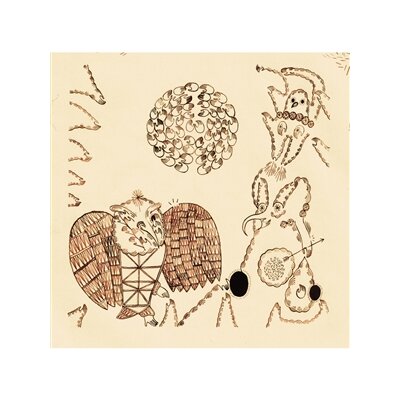 BANHART, DEVENDRA - REJOICING IN THE HANDS - CD