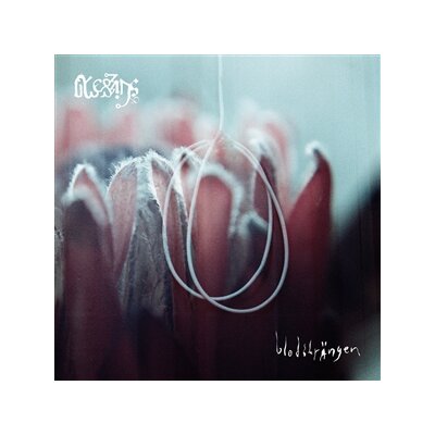 BLESSINGS - BLODSTRÄNGEN - CD