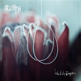 BLESSINGS - BLODSTRÄNGEN - CD