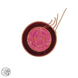 SUN RA - SLEEPING BEAUTY (REISSUE) - LP