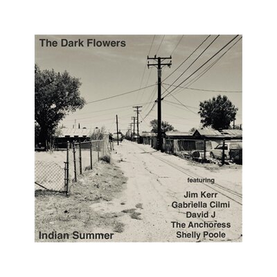 DARK FLOWERS, THE - INDIAN SUMMER (CLEAR VINYL) - LP