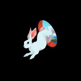 GANSER - ANIMAL HOSPITAL (FUTURE BLUE VINYL) - LP