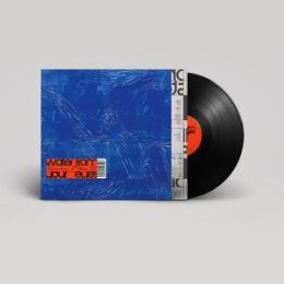 WATER FROM YOUR EYES - ITS A BEAUTIFUL PLACE - LP