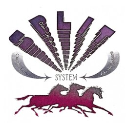 SPLIT SYSTEM - ON THE EDGE/ON THE LOOSE - 7"